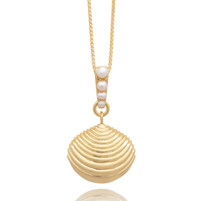 Treasured Shell Gold Necklace