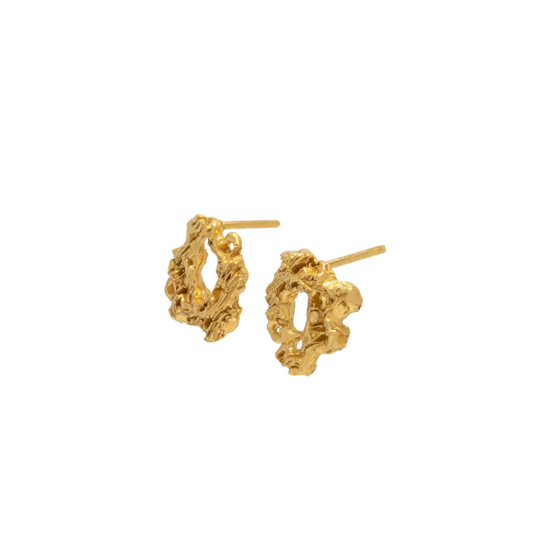 Pereskia Earrings